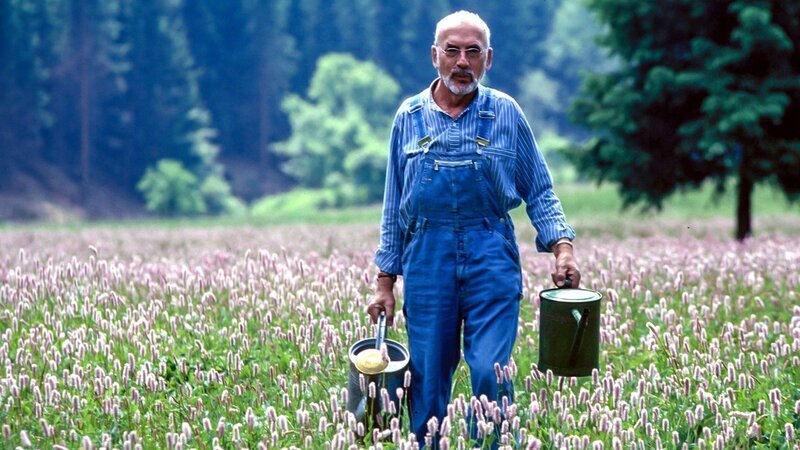 Bild: ZDF und studio tv./​studio tv