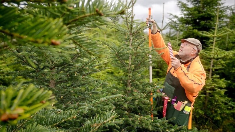 Bild: NDR/​Marco Schulze