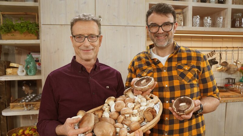 Bild: NDR/​dm-film/​Florian Kruck