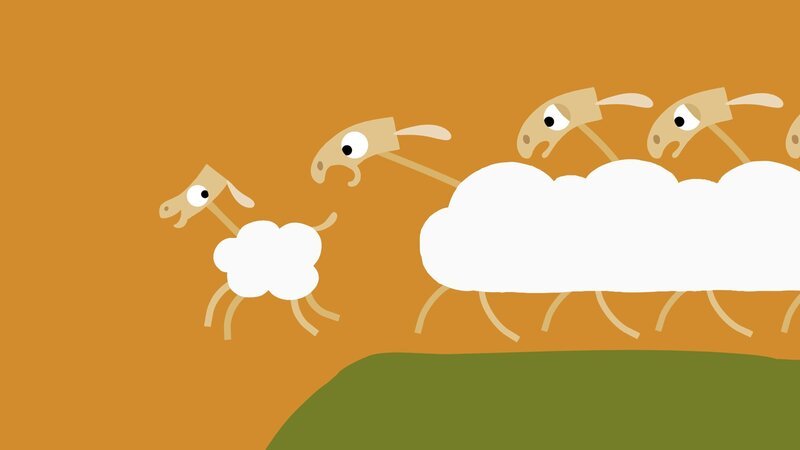 Furchtlos entfernt sich das kleine Schaf von der Gruppe. – Bild: Cinema Public Val-de Marne