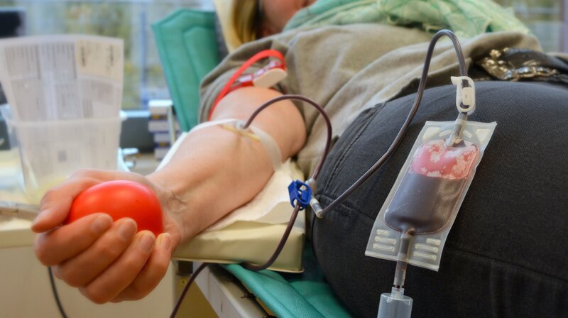 Bild: NDR/​Produktion Clipart