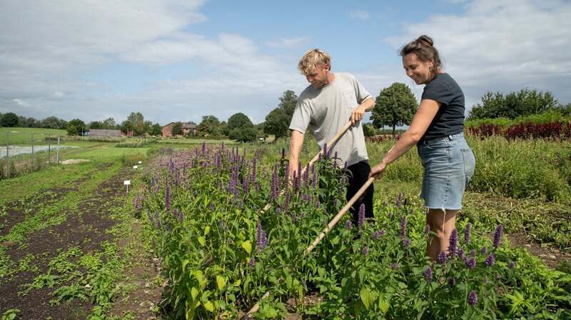 Unkraut jäten Dennis und Natalie von Hand. Chemie kommt bei ihnen nicht aufs Feld. – Bild: NDR/​TVN FACTUAL ENTERTAINMENT