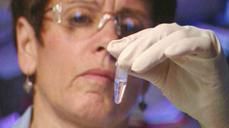 Bild: RTL Deutschland