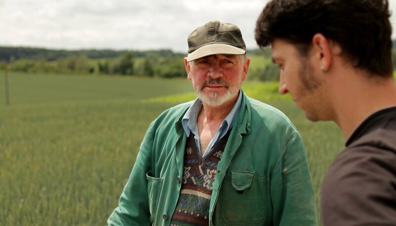 Konrad und Philipp Kienle im Maisfeld. «SauAcker – Zwischen zwei Generationen auf einem schwäbischen Bauernhof». – Bild: SWR/​M. Schlömer Filmproduktion/​Tobias Müller