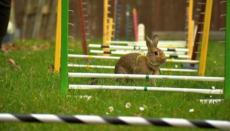 Bild: NDR/​5ǀ14 FILM