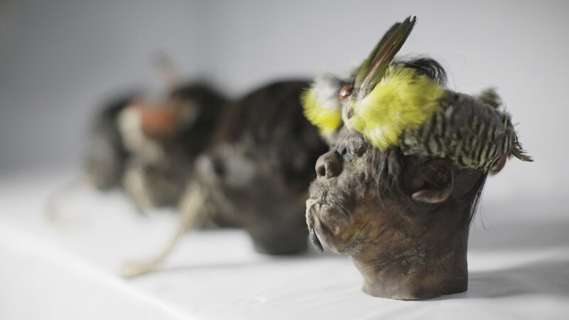 Bild: ZDF und Blink Entertainment