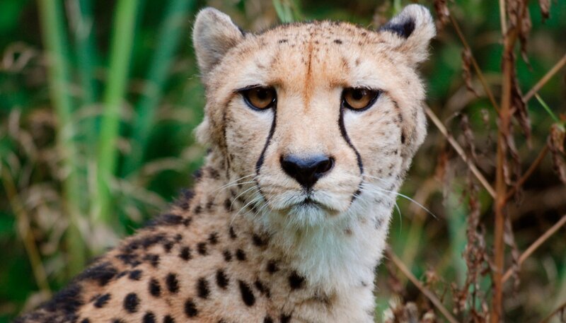 Bild: Felix Heidinger/​Jens-Uwe Heins