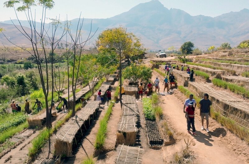 Die Baumschule „Wood en stock“ – Bild: phoenix/​SR/​André Zschocke