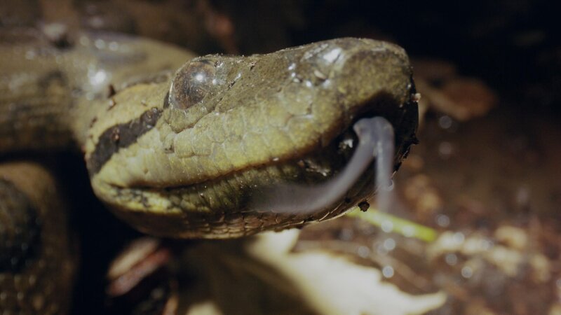 Die besten Momente – Bild: Terra Incognita Docs