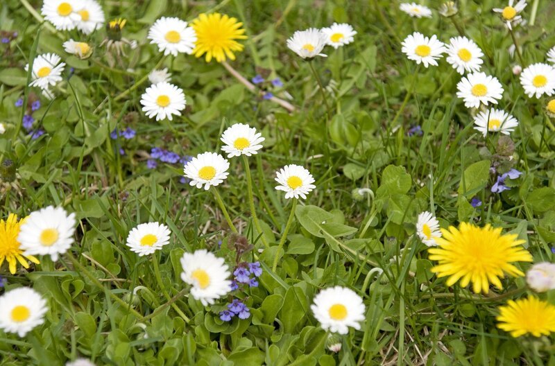 Bild: BR/​Natasha-I. Heuse