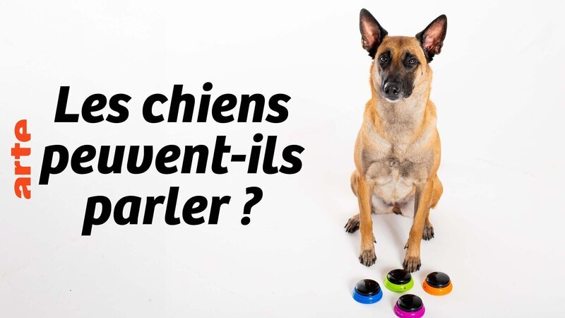  – Bild: Arte