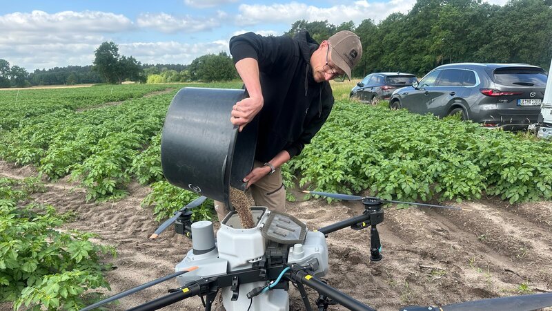 Drohnenpilot Carsten Hinrichs füllt die Drohne mit Saatgut. Mit dem technischen Gerät soll ein Pflanzengemsich über bereits wachsenden Kartoffeln ausgebracht werden. Als eine wasser- und kohlenstoffspeichernde „Unterfrucht“. – Bild: ZDF und Torsten Mehltretter, Mehltretter Media GmbH