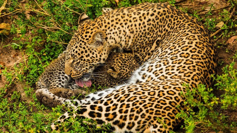 Bild: NDR/​Doclights GmbH/​Reinhard Radke