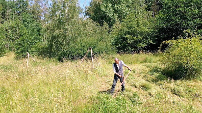 Stefan Reinsch mäht sein Heu mit der Sense. – Bild: NDR/​AZ Media TV GmbH/​Franziska Voigt