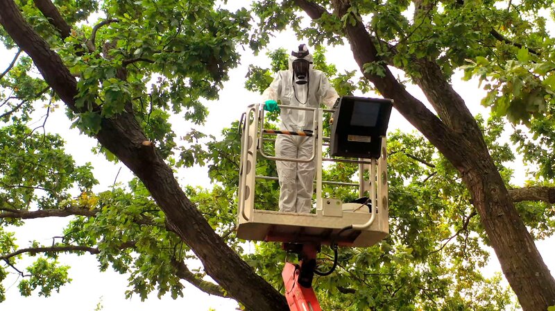 Bild: rbb/​Mia Media