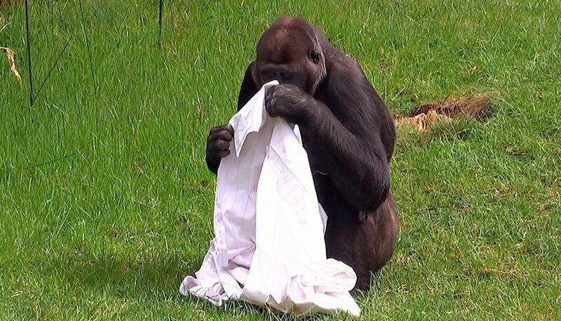 Bild: rbb/​Dokfilm