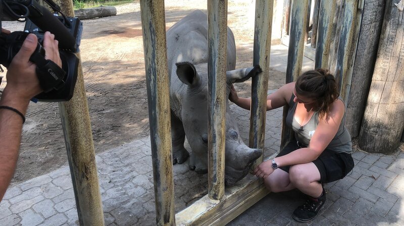 Bild: WDR/​Me works GmbH