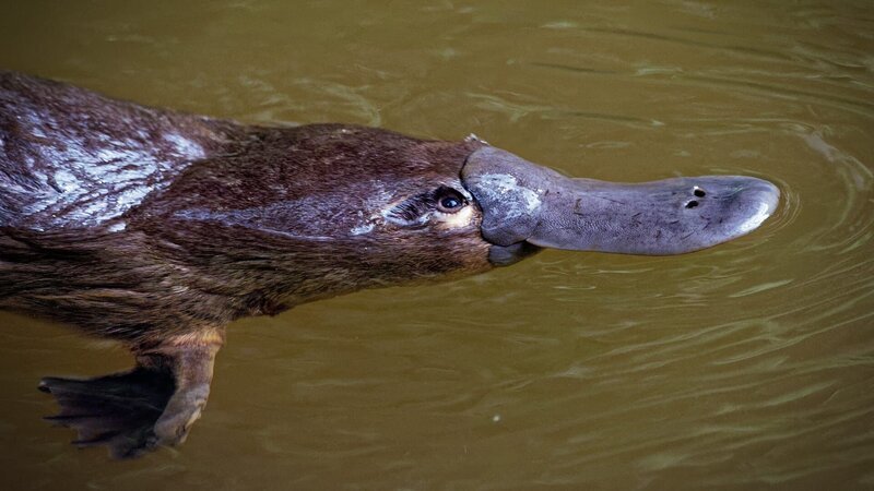 . – Bild: Warner Bros. Discovery