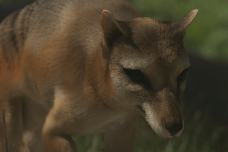 Bild: Windfall Films