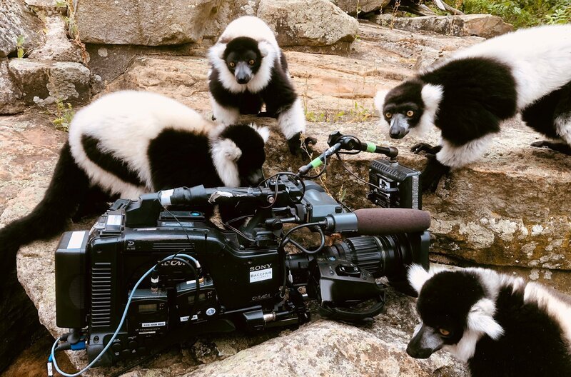 Bild: WDR/​Me works GmbH