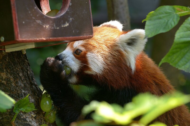 - Janna Falkenstein – Bild: rbb/​Thomas Ernst