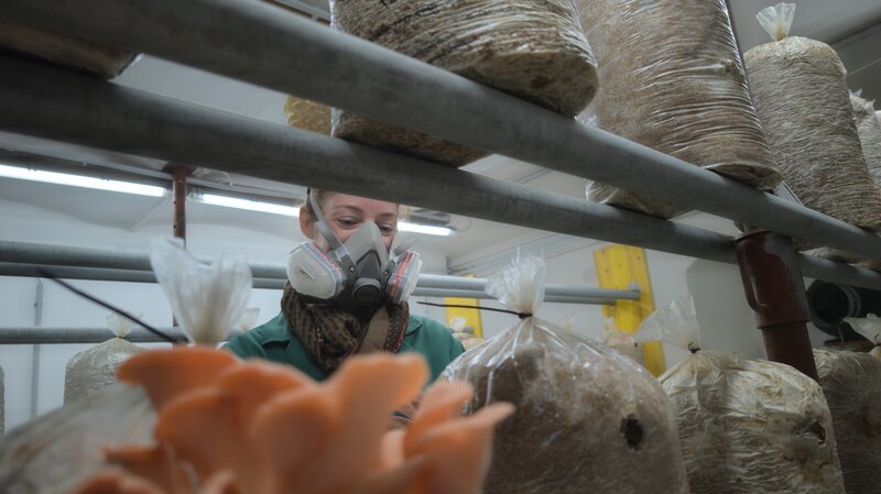 Johanna Schriebl mit Atemschutzmaske bei der Arbeit in Ihrer Pilzzucht während Servus TVs „HL Stainz“, Steiermark, 29.09.2025 – Bild: ServusTV /​ Terra Mater Studios GmbH /​ Daniela Bernhart /​ Terra Mater Studios für STV