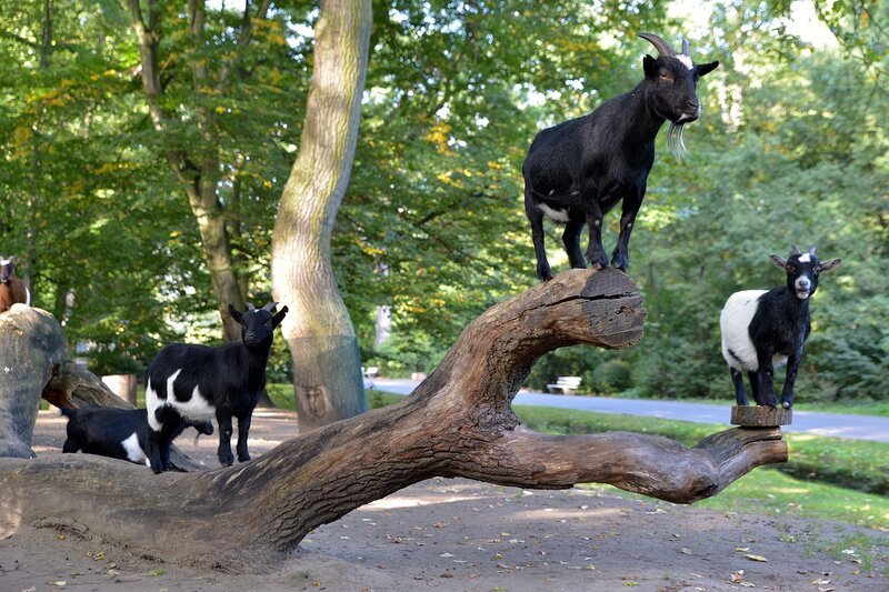 - Janna Falkenstein – Bild: rbb/​Thomas Ernst