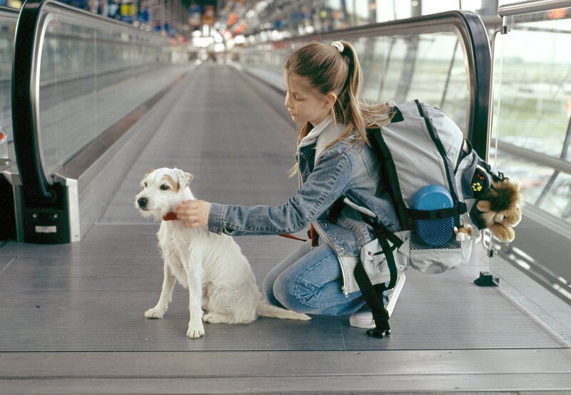 Rebecca (Elisabeth Böhm) hat beschlossen, sich auf den Weg zu ihrer Mutter zu machen und mit Sack, Pack und Hund nach Amerika zu fliegen. – Bild: HR/​ARD/​Christa Köfer