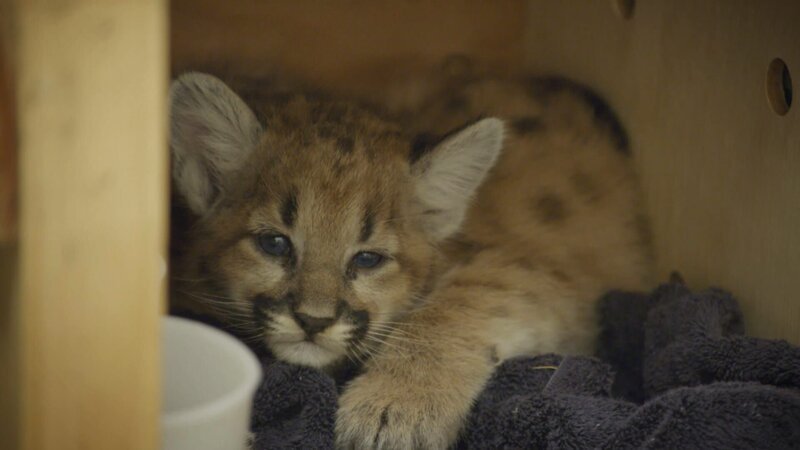 . – Bild: Warner Bros. Discovery