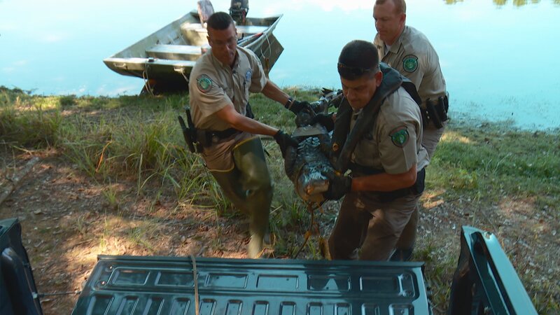 Bild: Animal Planet /​ Discovery Communications