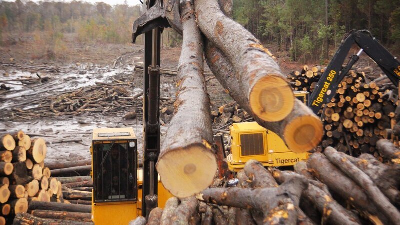 . – Bild: Warner Bros. Discovery