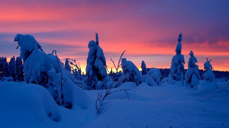 Sonnenuntergang hinter tief verschneiten Nadelbäumen. – Bild: WDR/nautilusfilm Sonnenuntergang hinter tief verschneiten Nadelbäumen. – Bild: WDR/nautilusfilm