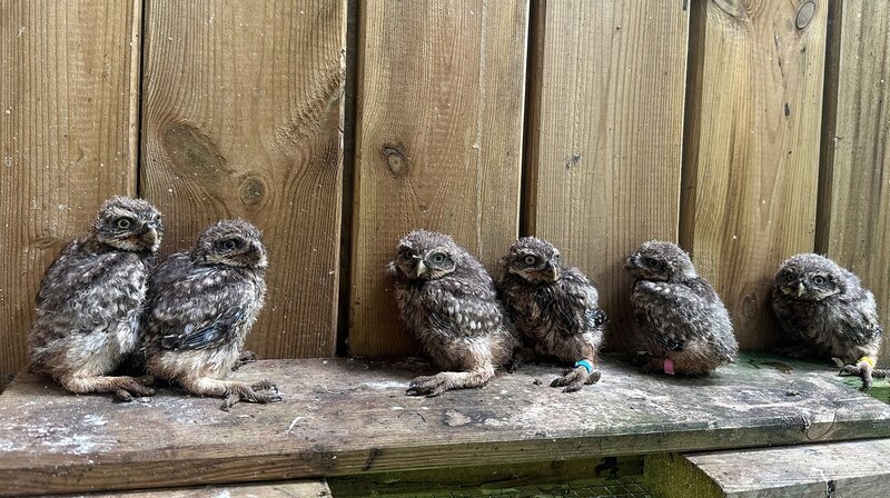 Bild: NDR/​Torsten Mehltretter