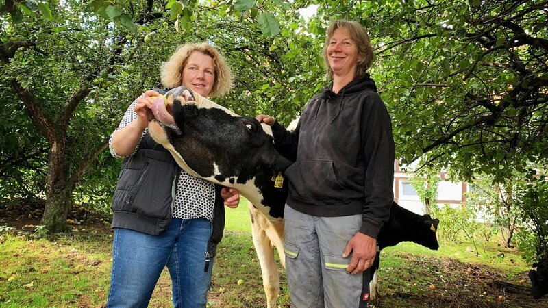 . – Bild: Warner Bros. Discovery