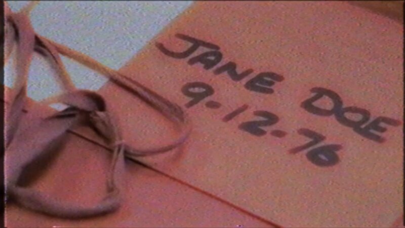 Königspinguine in Feuerland, dem eisigen Süden Südamerikas – Bild: ukmcr /​ Crime + Investigation /​ Hearst