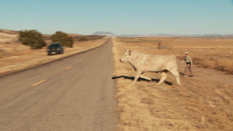 . – Bild: Warner Bros. Discovery