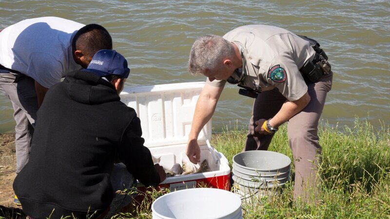 Fish and Game Officers Gerry Amundson checking fish sizes. – Bild: Discovery Communications, LLC