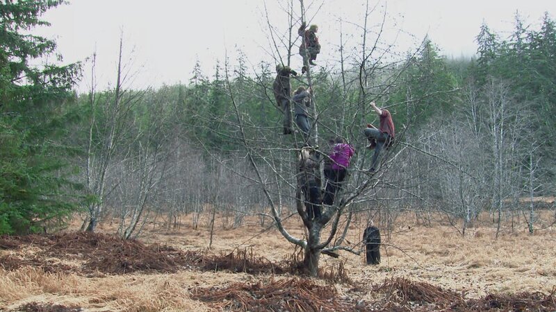 Bild: Discovery Channel