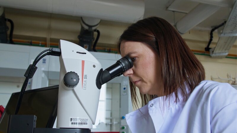 Bild: CiFlx /​ Crime + Investigation /​ Liza Chambers