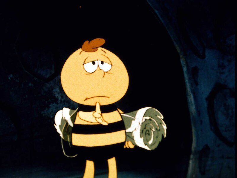 Maja’s Freund Willie. Das Leben ist für ihn sehr aufregend. – Bild: ORF (FS1/​FS2) /​ ORF1