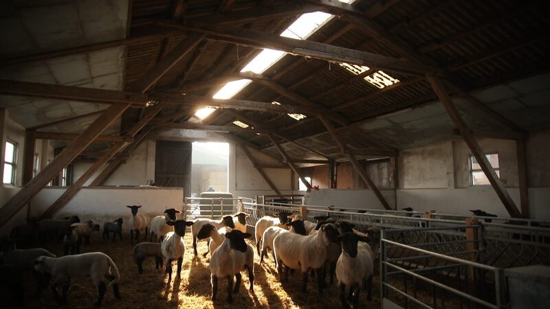 . – Bild: Warner Bros. Discovery