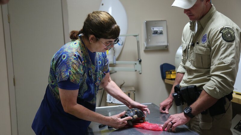 Bild: Discovery Communications, LLC