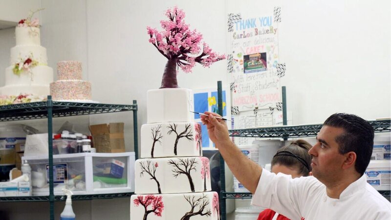 Bild: TLC /​ Discovery Communications