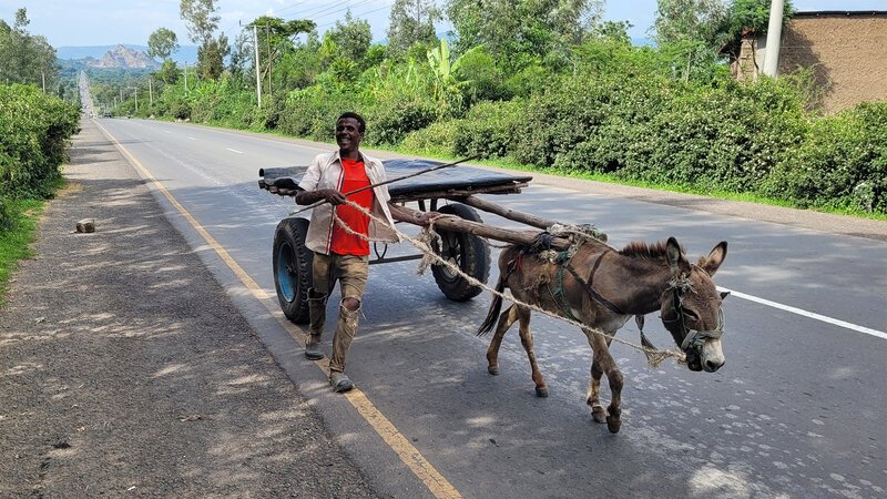 . – Bild: Bergblick . – Bild: Bergblick