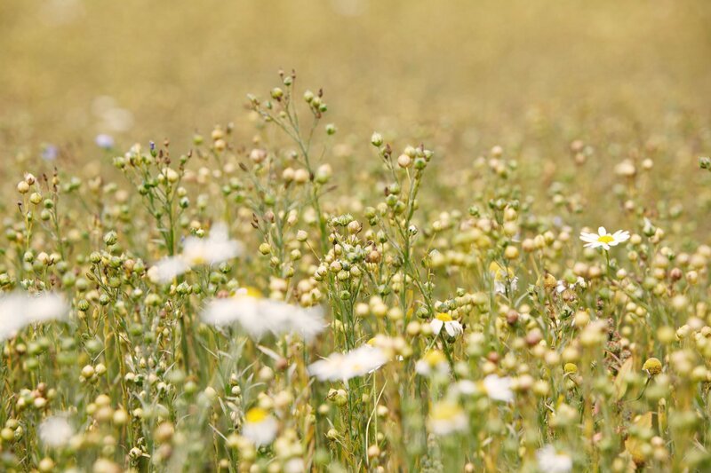 Leinfeld. – Bild: BR/​megaherz gmbh /​ Anne Deiss