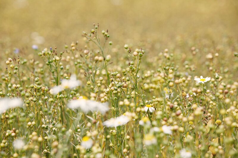 Leinfeld. – Bild: BR/​megaherz gmbh /​ Anne Deiss