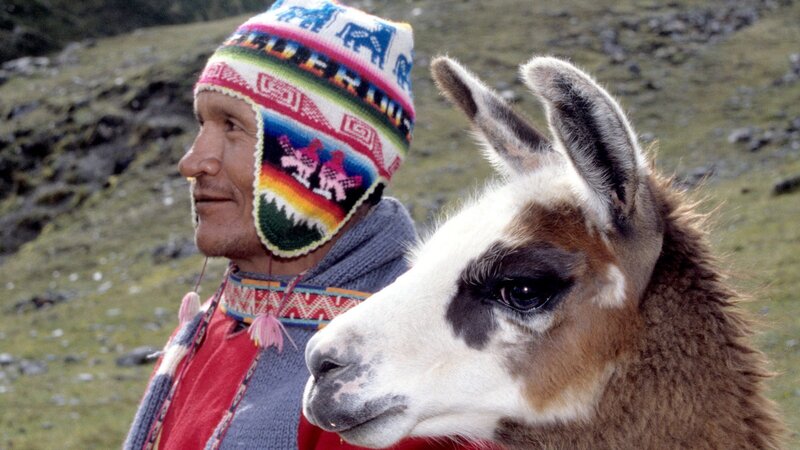 Die letzten Nomaden – Bild: ZDF und ORF/​Telcast/​José Manuel Novoa