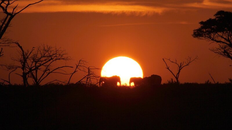 – Bild: ZDF und ORF/Manuela Zips-Mairitsch – Bild: ZDF und ORF/Manuela Zips-Mairitsch