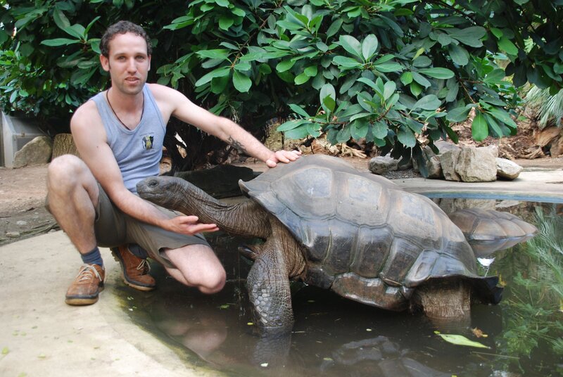 Riesenschildkröten erhalten einen ganz besonderen Service. – Bild: BR/​Jens-Uwe Heins