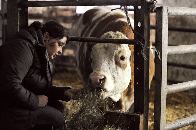 Moni (Christine Reimer) weiß nicht, wie sie ihrem Bullen Sepp helfen kann. – Bild: BR/​Marco Orlando Pichler